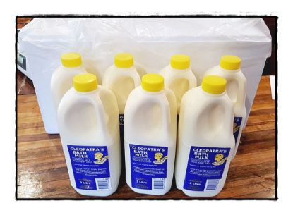 Picture of BATH MILK -  RAW, ORGANIC - CLEOPATRAS - BULK BOX in ice / 7x 2lt bottles