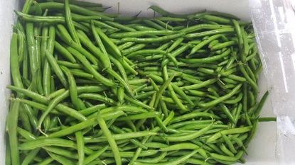 Picture of BEANS GREEN Organic (kg)