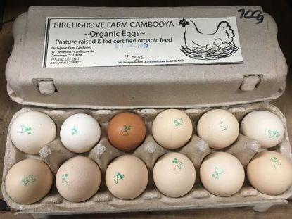 Picture of EGGS - Ethical, Organic, Pasture-rasied / 700g (approx.)