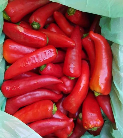 Picture of CHILLI BIRDS EYE Organic (KG)