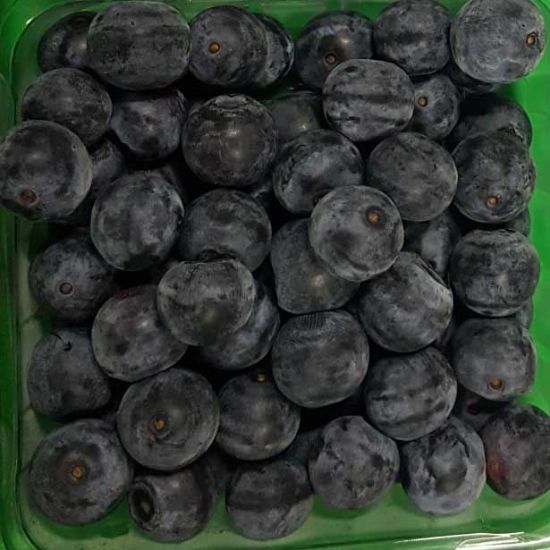 Picture of BLUEBERRY Bio-dynamic PUNNET