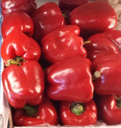 Picture of CAPSICUM RED Organic (KG)