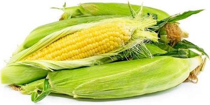 Picture of CORN Organic (Cob)