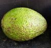 Picture of AVOCADO Hass - Organic (each)