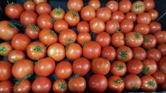 Picture of TOMATO ROUND Organic (kg)