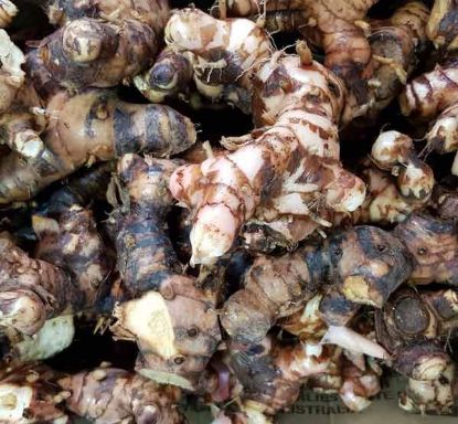 Picture of GALANGAL Organic  (kg) Order in 100g increments