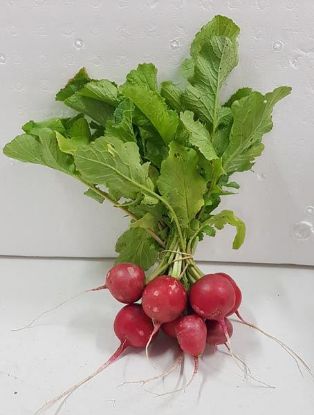 Picture of RADISH ORGANIC (Bunch)