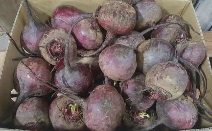 Picture of BEETROOT Organic (KG)