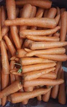 Picture of CARROT JUICING Organic (5 KG bag)