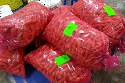 Picture of CARROT JUICING Organic 20KG BAG BULK