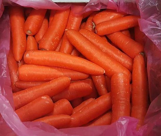 Picture of CARROT Organic (KG)