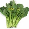 Picture of CHINESE BROCCOLI / KAILAN Organic (Bunch)