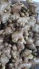 Picture of GINGER Organic (KG) Order in 100g