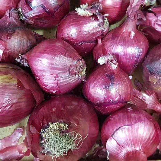 Picture of ONION RED Organic (KG)