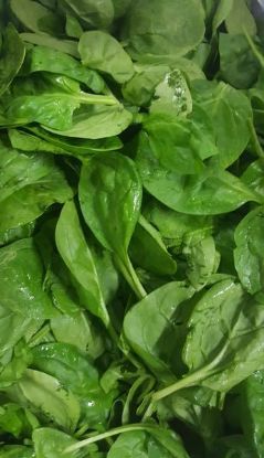 Picture of SPINACH BABY Organic (250g)