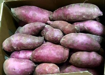 Picture of SWEET POTATO - PURPLE (KG)