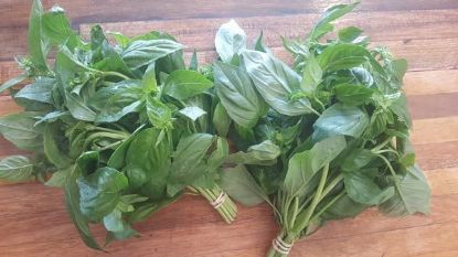 Picture of HERB BASIL (BUNCH)