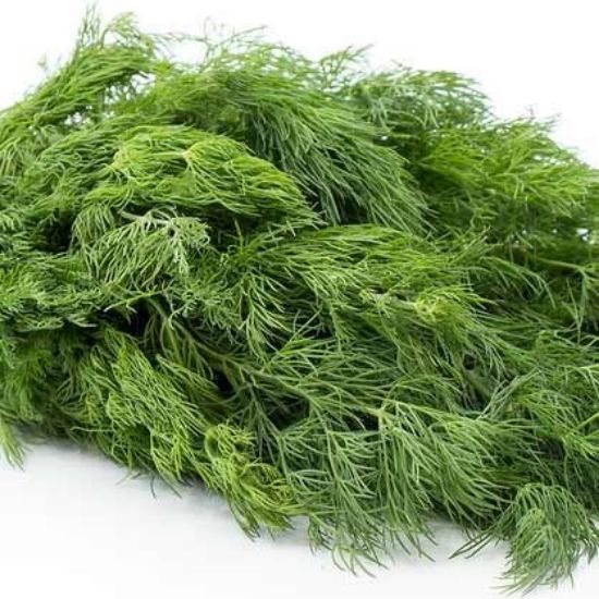 Picture of HERB DILL Organic (Bunch)