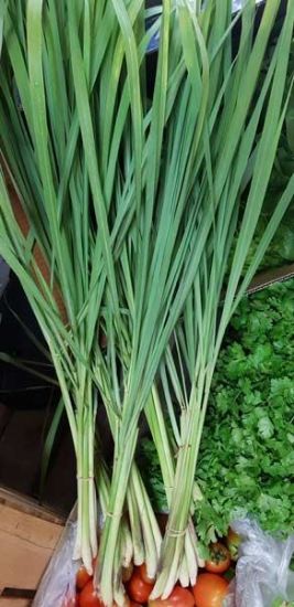 Picture of HERB LEMON GRASS Organic (Bunch)