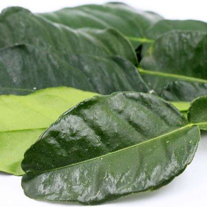 Picture of HERB KAFFIR LIME LEAVES (100g / approx 7-10 leaves)