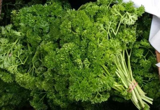 Picture of HERB PARSLEY CURLY Organic (Bunch)