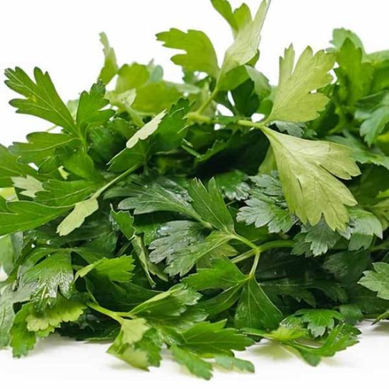 Picture of HERB PARSLEY ITALIAN Organic (Bunch) - FLAT LEAF