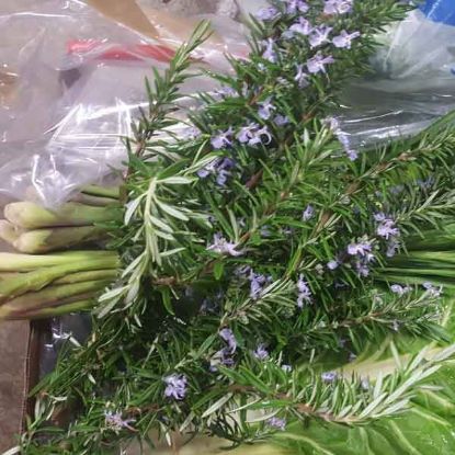 Picture of HERB ROSEMARY Organic (Bunch)