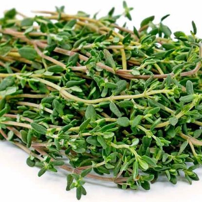 Picture of HERB THYME Organic (Bunch)