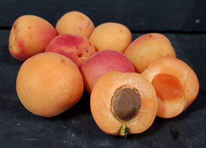 Picture of APRICOT Fresh  Organic (kg)