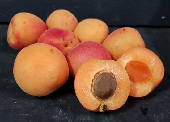 Picture of APRICOT Fresh  Organic (kg)