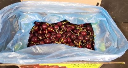 Picture of CHERRIES Organic (2kg box) bulk