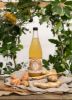 Picture of OLD COSSACK Water Kefir Tonic - Ginger and Turmeric 330ml 750ml