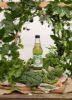 Picture of OLD COSSACK Water Kefir Tonic - Green tea and Super Leaves 330ml 750ml