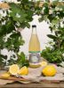 Picture of OLD COSSACK Kefir Culture - Mint Lemonade  330ml & 750ml