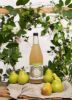 Picture of OLD COSSACK Kefir Culture - Pear Cider 750ml