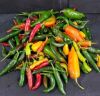 Picture of CHILLI VARIOUS MIXED Organic (KG)