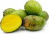 Picture of MANGO  Organic