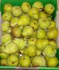 Picture of PEAR  - Organic (KG)