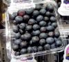 Picture of BLUEBERRY Bio-dynamic PUNNET