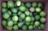 Picture of LIME ORGANIC (KG)