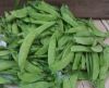 Picture of SNOW PEAS Organic (kg)