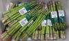 Picture of ASPARAGUS Organic (BUNCH)