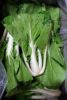 Picture of BOK CHOY Organic (EACH)