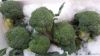 Picture of BROCCOLI Organic (KG)