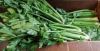 Picture of CELERY Organic Medium - Large (Bunch)