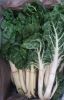 Picture of SILVERBEET Organic (BUNCH)