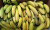 Picture of BANANA CAVENDISH 13KG Organic BOX