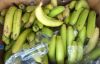 Picture of BANANA CAVENDISH 13KG Organic BOX