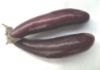 Picture of EGGPLANT Organic (KG)