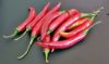 Picture of CHILLI CAYENE (long) Organic (KG)